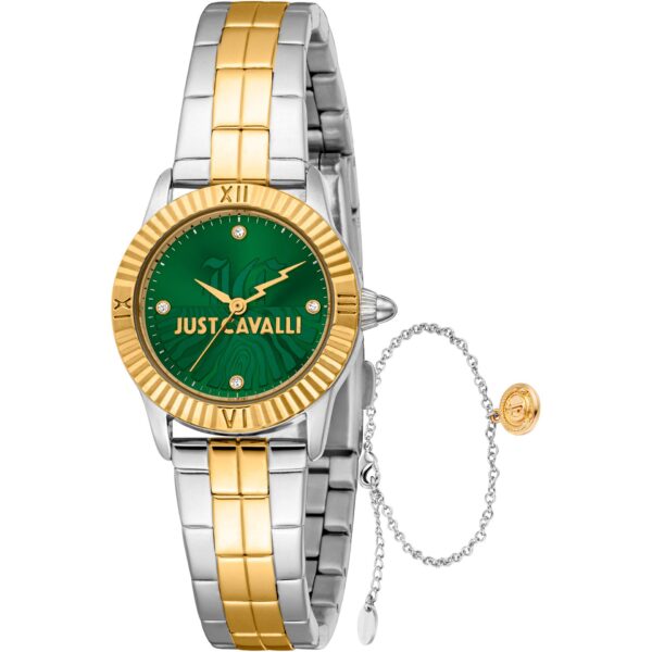 Just Cavalli Watch, Women Grey GLAM10084