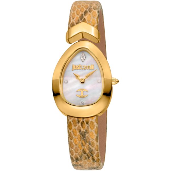 Just Cavalli Watch, Women Brown GLAM10091